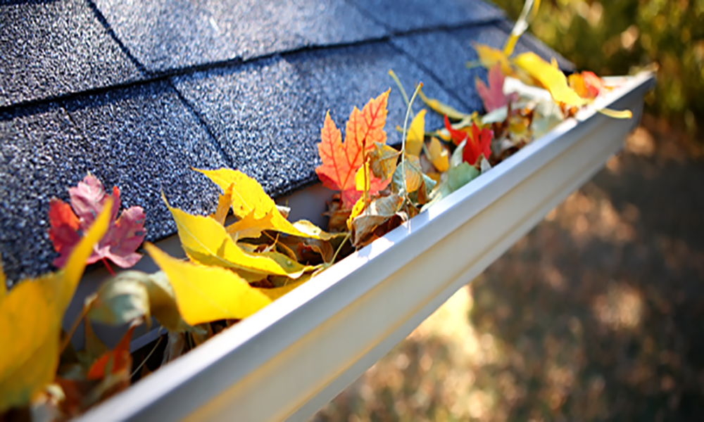 Gutter Cleaning Leaf Removal