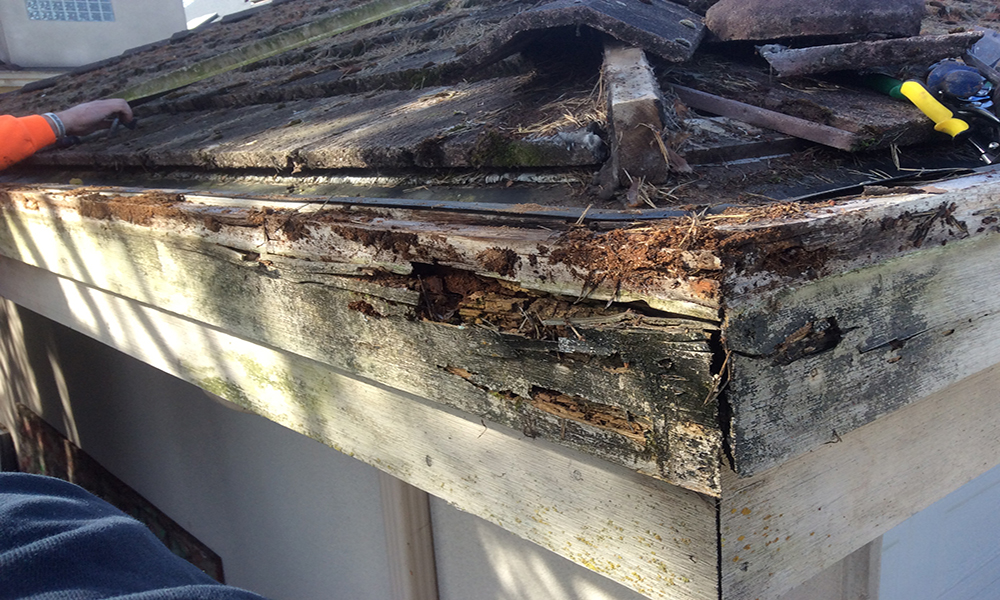 Rotten Fascia Board